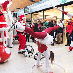Kerst entertainment inhuren huren boeken bij winter